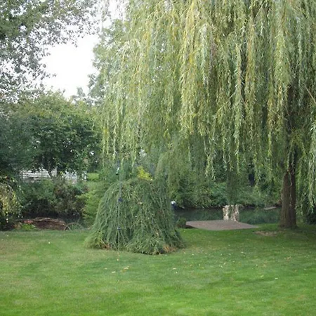 Klatt_gallus Apartment *